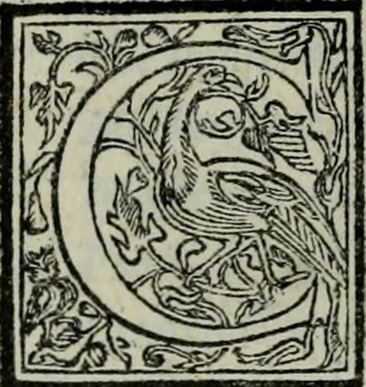 An illustration from Boezio Seuerino della consolazione della filosofia, 1551, leaf 153