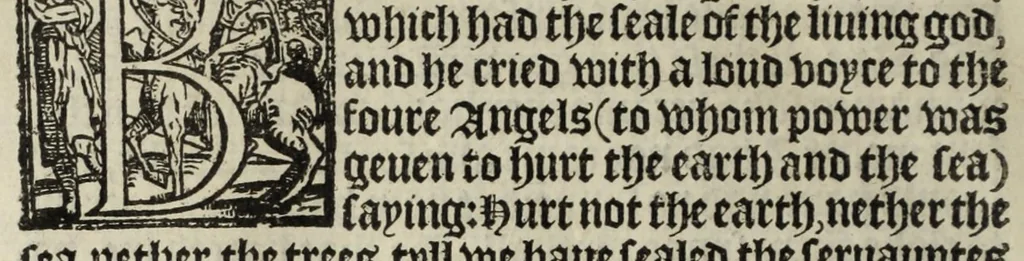 An illustration from The boke of common prayer and administracion of the sacramentes and other rites and ceremonies in the Churche of Englande, 1552, leaf 248