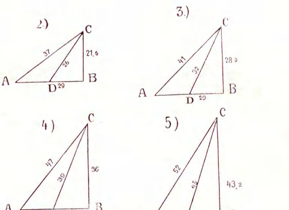 An illustration from Bollettino della Società aeronautica italiana, 1909, leaf 355