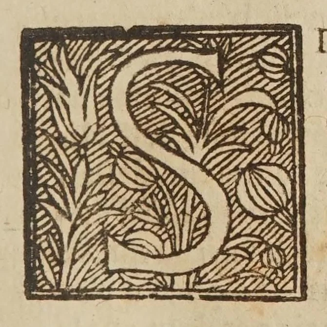 An illustration from Bollo di D. Vittorio Siri ... nel Mercurio veridico del Sig. dottore Birago .., 1653, leaf 13
