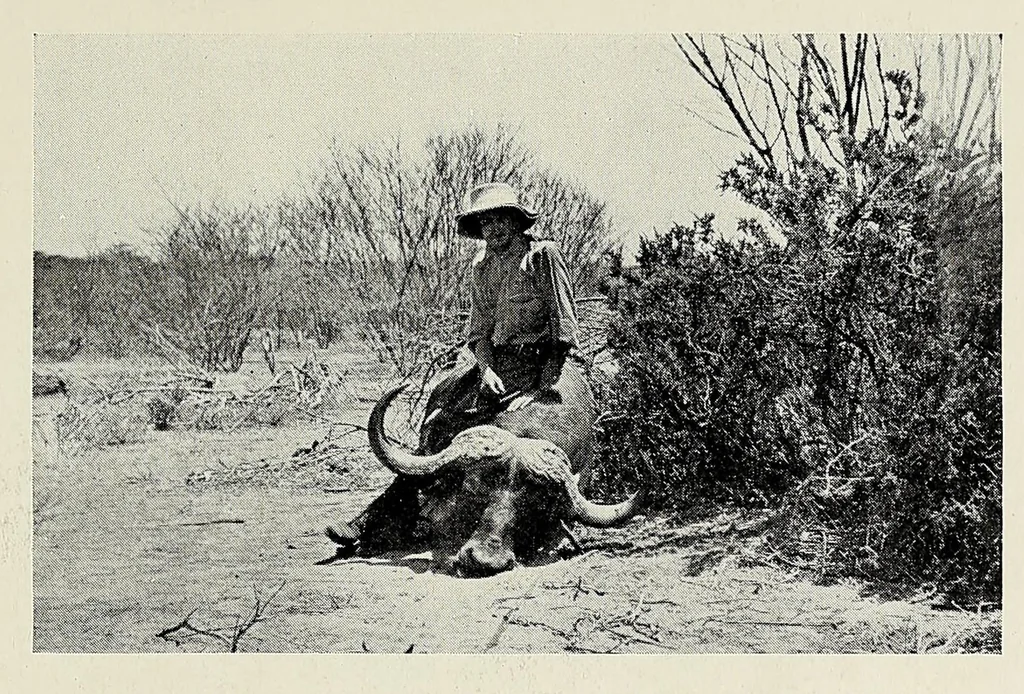 An illustration from The bonds of Africa : impressions of travel and sport from Cape Town to Cairo, 1902-1912, 1913, leaf 237