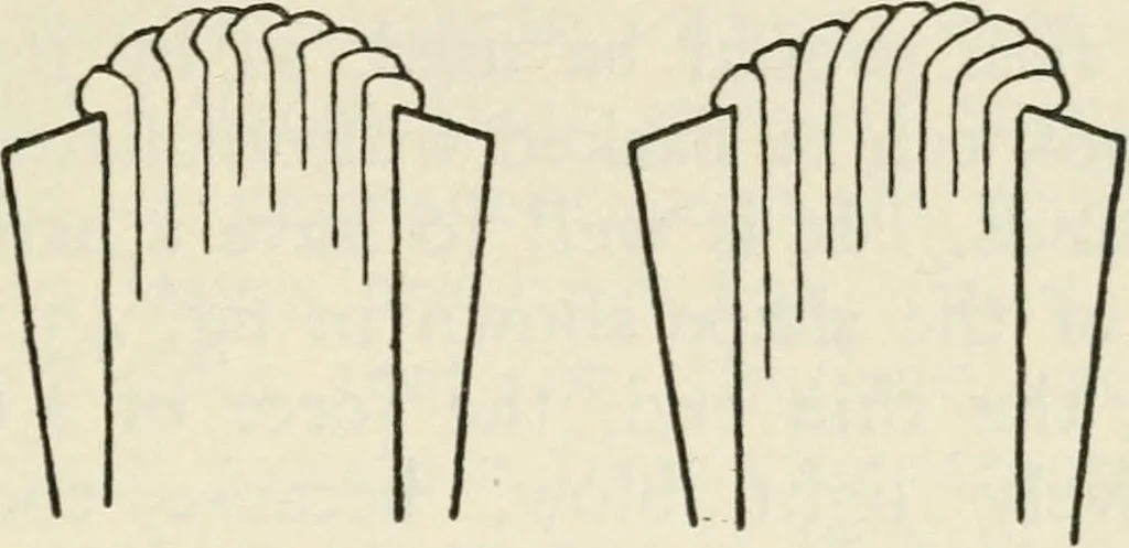 An illustration from Bookbinding, and the care of books : a text-book for bookbinders and librarians, 1911, leaf 126