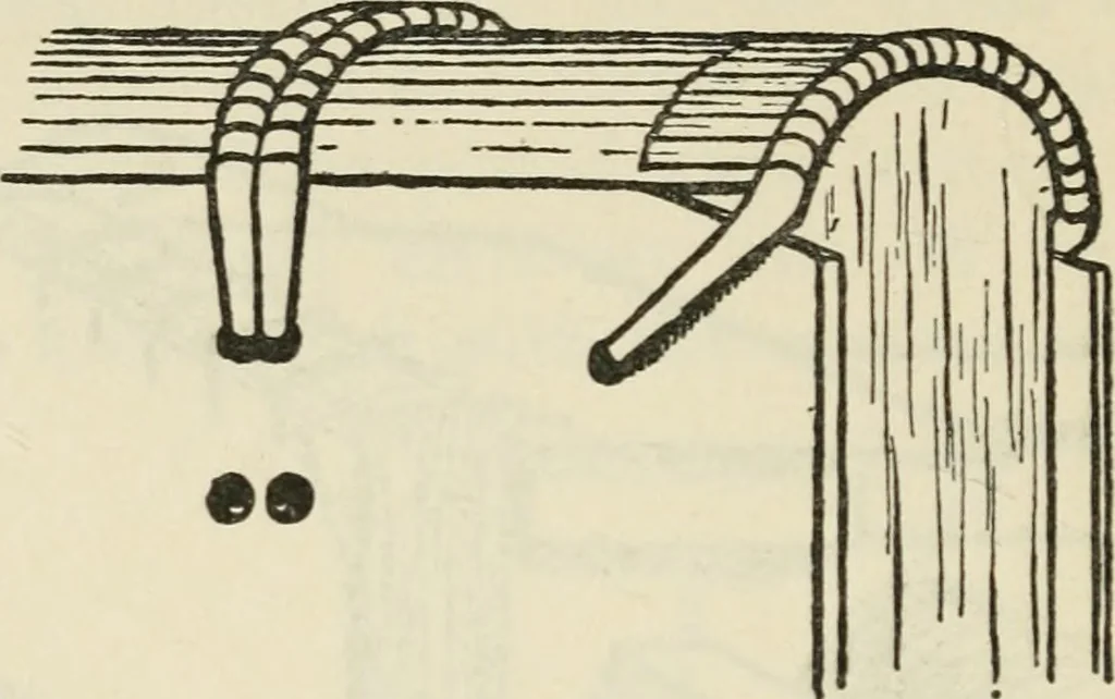 An illustration from Bookbinding, and the care of books : a text-book for bookbinders and librarians, 1911, leaf 139