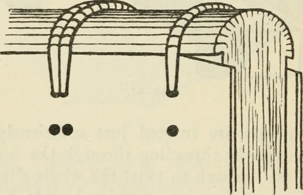 An illustration from Bookbinding, and the care of books : a text-book for bookbinders and librarians, 1911, leaf 139