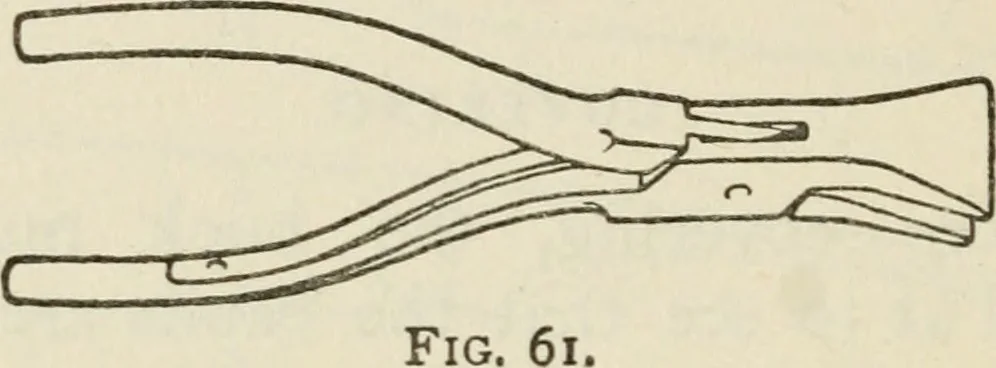 An illustration from Bookbinding, and the care of books : a text-book for bookbinders and librarians, 1911, leaf 163