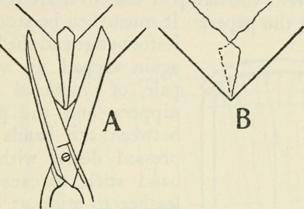 An illustration from Bookbinding, and the care of books : a text-book for bookbinders and librarians, 1911, leaf 168