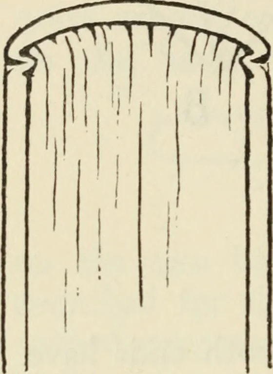 An illustration from Bookbinding, and the care of books : a text-book for bookbinders and librarians, 1911, leaf 169