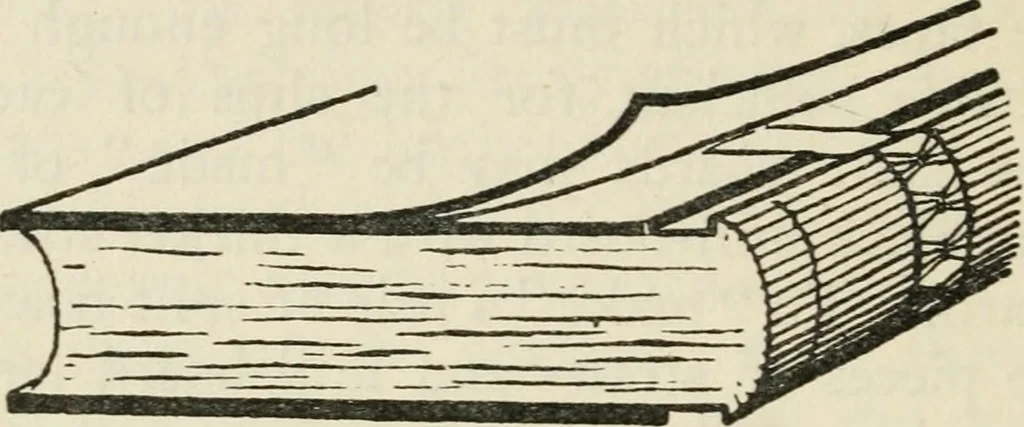 An illustration from Bookbinding, and the care of books : a text-book for bookbinders and librarians, 1911, leaf 179