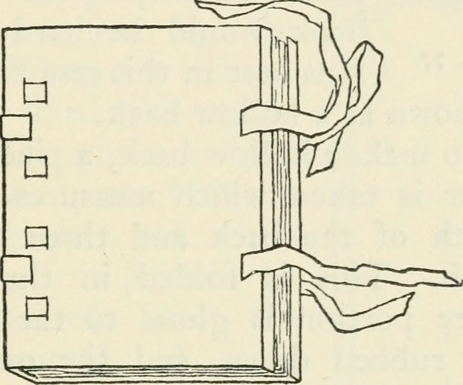 An illustration from Bookbinding, and the care of books : a text-book for bookbinders and librarians, 1911, leaf 186