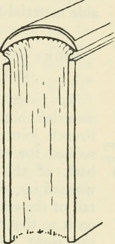 An illustration from Bookbinding, and the care of books : a text-book for bookbinders and librarians, 1911, leaf 188
