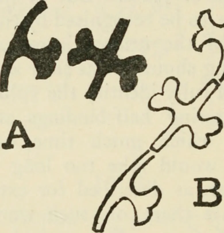 An illustration from Bookbinding, and the care of books : a text-book for bookbinders and librarians, 1911, leaf 225