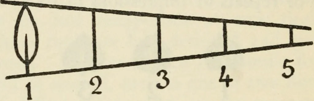 An illustration from Bookbinding, and the care of books : a text-book for bookbinders and librarians, 1911, leaf 235