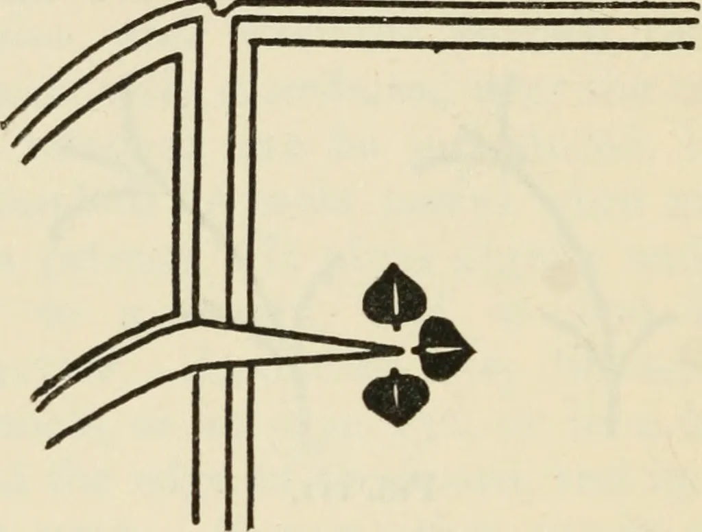 An illustration from Bookbinding, and the care of books : a text-book for bookbinders and librarians, 1911, leaf 251