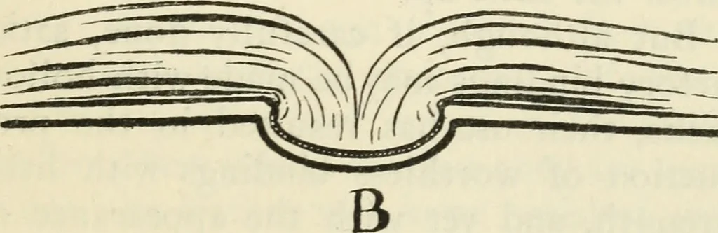 An illustration from Bookbinding, and the care of books : a text-book for bookbinders and librarians, 1911, leaf 28