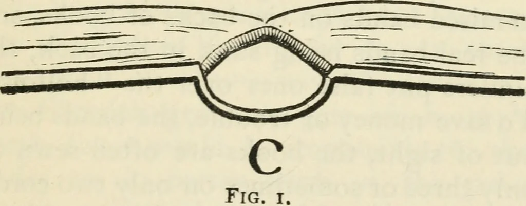 An illustration from Bookbinding, and the care of books : a text-book for bookbinders and librarians, 1911, leaf 28