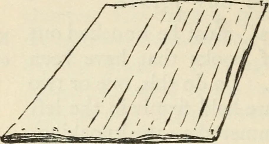 An illustration from Bookbinding, and the care of books : a text-book for bookbinders and librarians, 1911, leaf 57