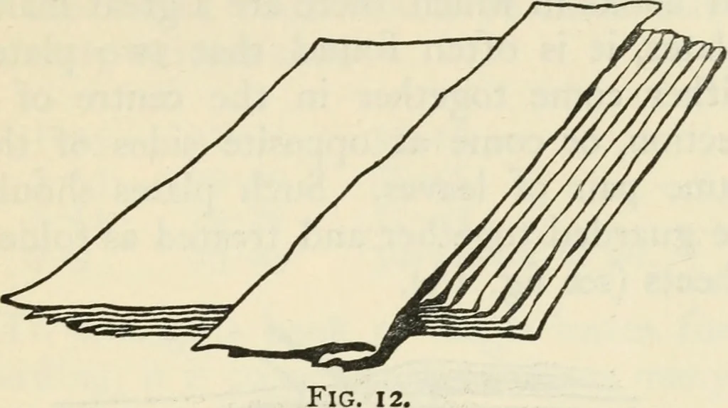 An illustration from Bookbinding, and the care of books : a text-book for bookbinders and librarians, 1911, leaf 60