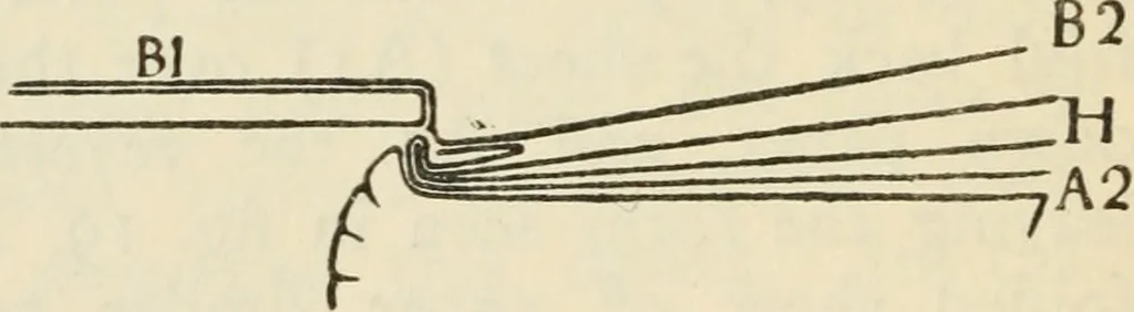 An illustration from Bookbinding, and the care of books : a text-book for bookbinders and librarians, 1911, leaf 85