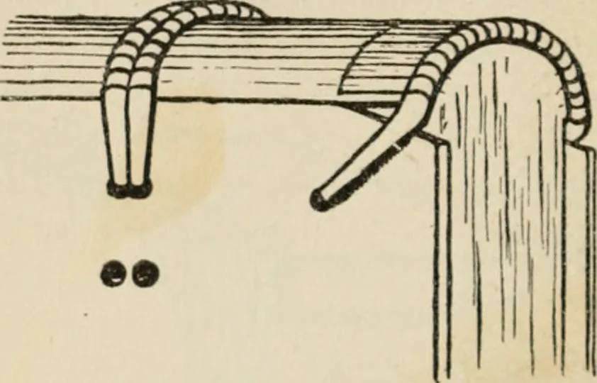 An illustration from Bookbinding, and the care of books; a handbook for amateurs, bookbinders & librarians, 1901, leaf 141