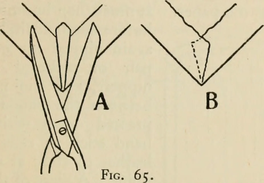 An illustration from Bookbinding, and the care of books; a handbook for amateurs, bookbinders & librarians, 1901, leaf 170