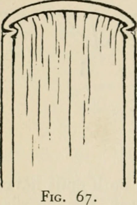 An illustration from Bookbinding, and the care of books; a handbook for amateurs, bookbinders & librarians, 1901, leaf 171
