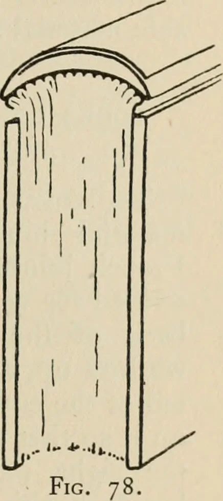 An illustration from Bookbinding, and the care of books; a handbook for amateurs, bookbinders & librarians, 1901, leaf 190