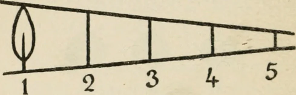 An illustration from Bookbinding, and the care of books; a handbook for amateurs, bookbinders & librarians, 1901, leaf 237