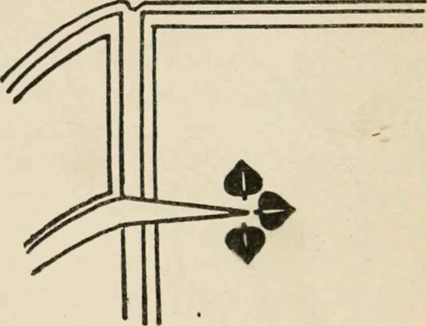 An illustration from Bookbinding, and the care of books; a handbook for amateurs, bookbinders & librarians, 1901, leaf 253
