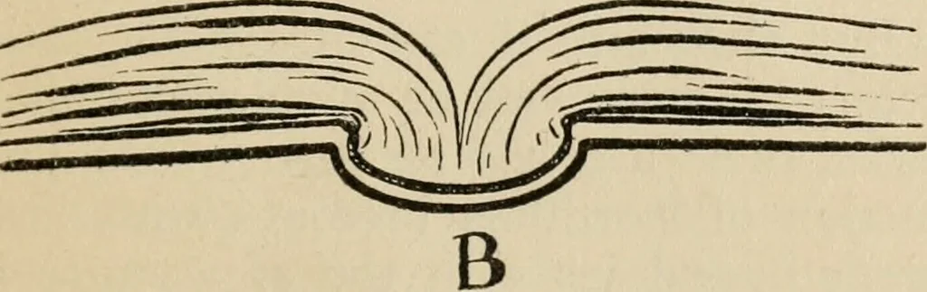 An illustration from Bookbinding, and the care of books; a handbook for amateurs, bookbinders & librarians, 1901, leaf 30