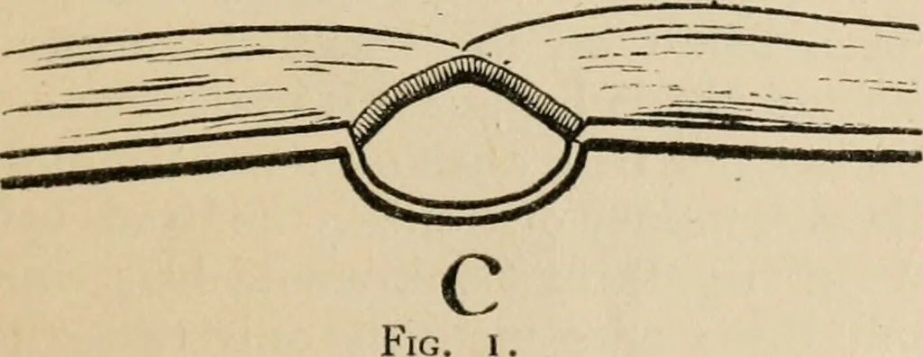An illustration from Bookbinding, and the care of books; a handbook for amateurs, bookbinders & librarians, 1901, leaf 30