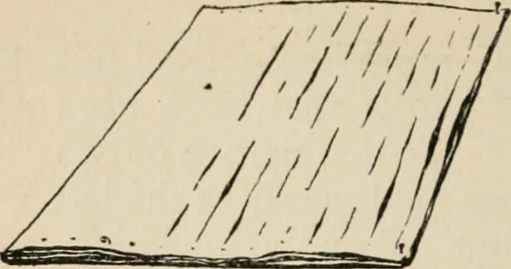 An illustration from Bookbinding, and the care of books; a handbook for amateurs, bookbinders & librarians, 1901, leaf 59