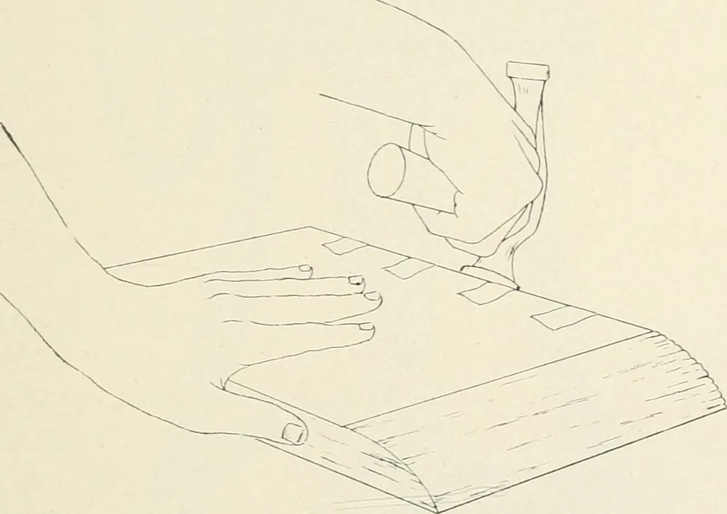 An illustration from Bookbinding and its auxiliary branches, 1914, leaf 116