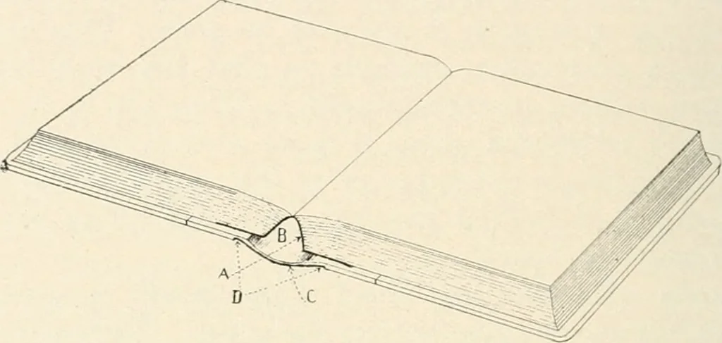 An illustration from Bookbinding and its auxiliary branches, 1914, leaf 203