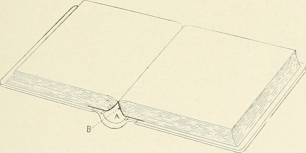 An illustration from Bookbinding and its auxiliary branches, 1914, leaf 204