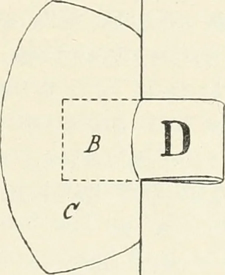 An illustration from Bookbinding and its auxiliary branches, 1914, leaf 242