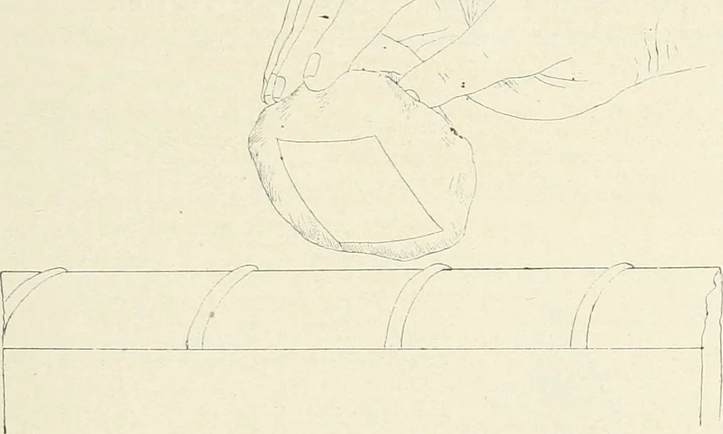 An illustration from Bookbinding and its auxiliary branches, 1914, leaf 252