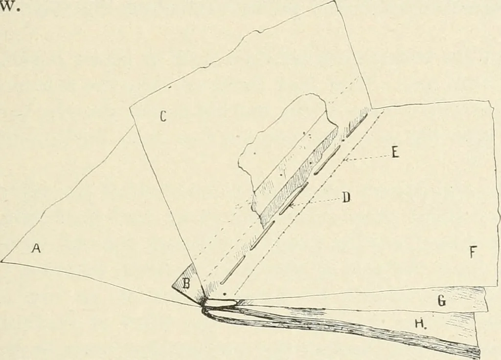 An illustration from Bookbinding and its auxiliary branches, 1914, leaf 50