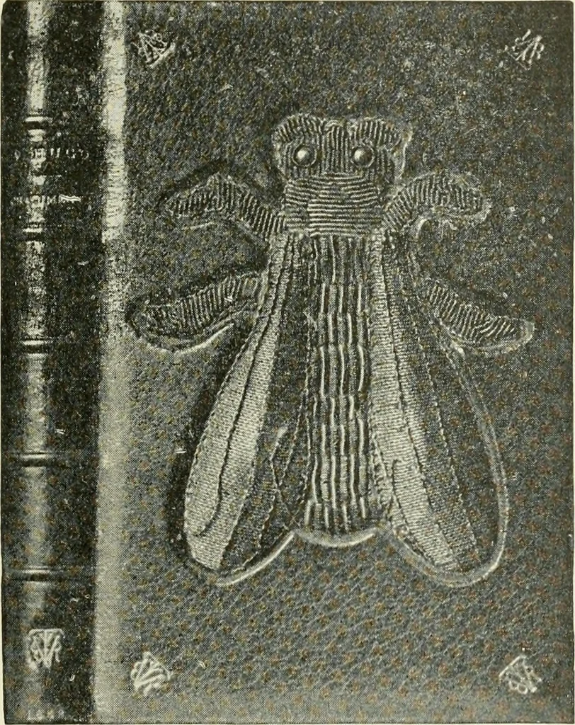 An illustration from Bookbindings old and new; notes of a book-lover, with an account of the Grolier Club of New York;, 1895, leaf 176