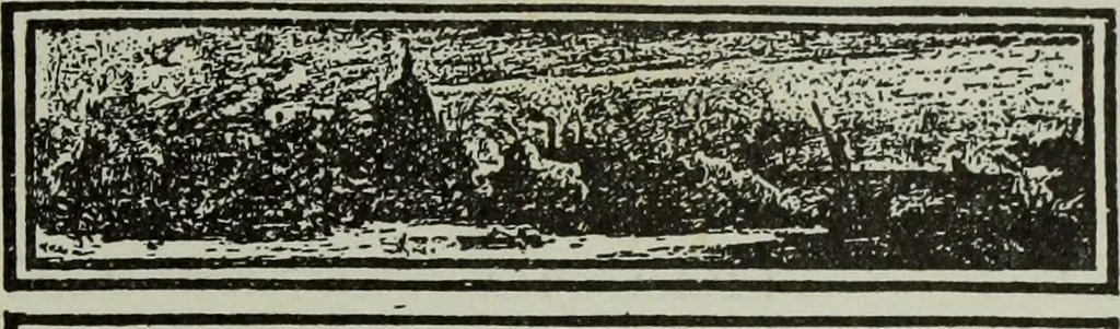 An illustration from Bookbindings old and new : notes of a book-lover, with account of the Grolier club of New York, 1896, leaf 286