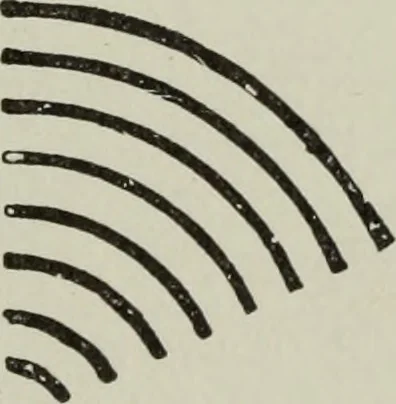 An illustration from Bookbindings old and new : notes of a book-lover, with account of the Grolier club of New York, 1896, leaf 62