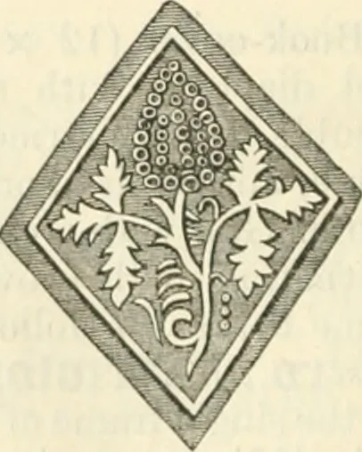 An illustration from Bookbindings and rubbings of bindings in the National Art Library, South Kensington Museum, 1898, leaf 251