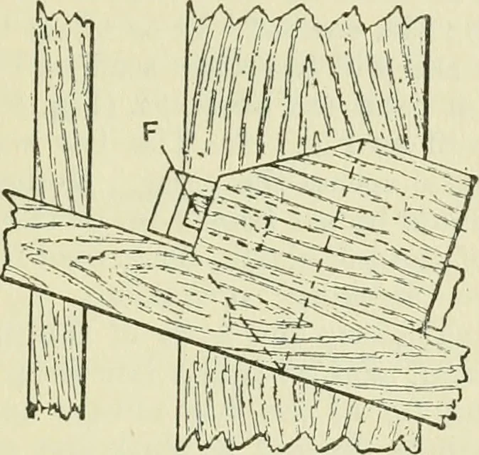 An illustration from Bookbinding, with numerous engravings and diagrams, 1907, leaf 24