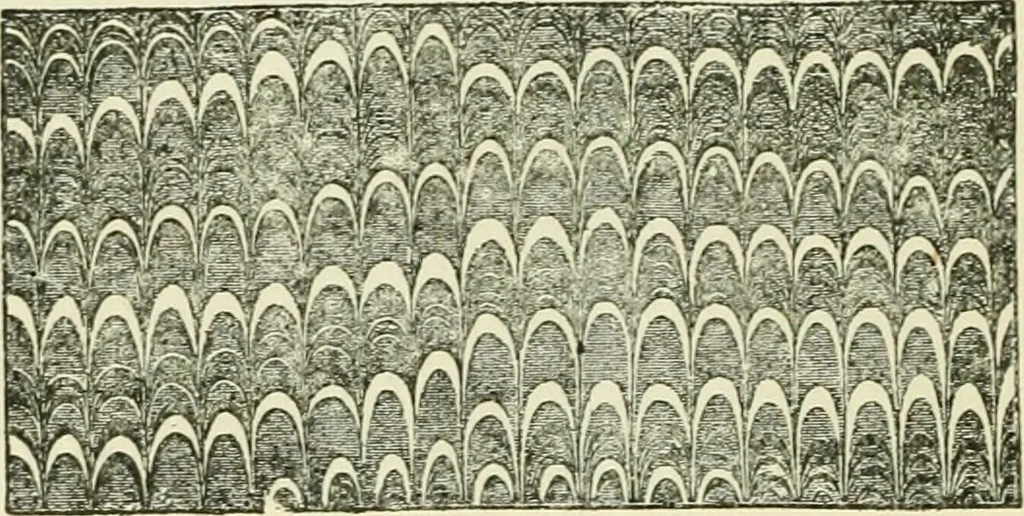 An illustration from Bookbinding, with numerous engravings and diagrams, 1907, leaf 95