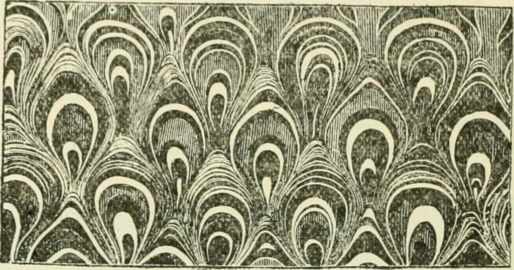An illustration from Bookbinding, with numerous engravings and diagrams, 1907, leaf 97
