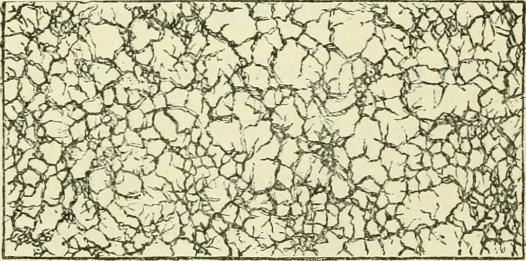 An illustration from Bookbinding, with numerous engravings and diagrams, 1907, leaf 97