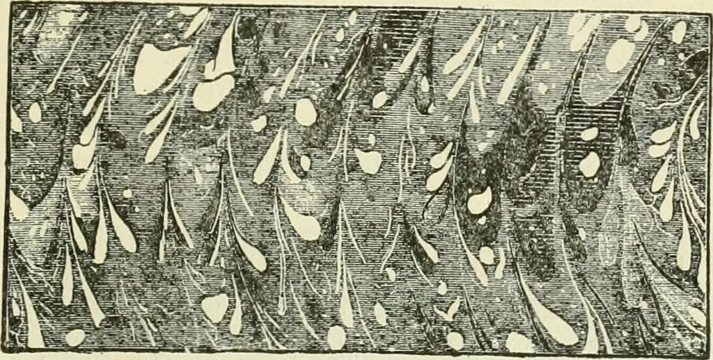 An illustration from Bookbinding, with numerous engravings and diagrams, 1907, leaf 98