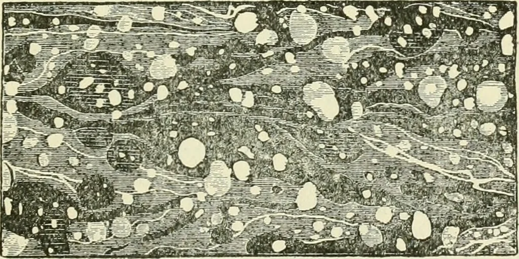 An illustration from Bookbinding, with numerous engravings and diagrams, 1907, leaf 98