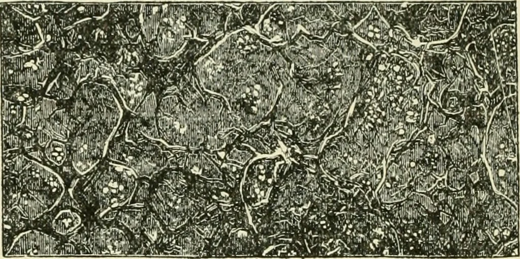 An illustration from Bookbinding, with numerous engravings and diagrams, 1907, leaf 99