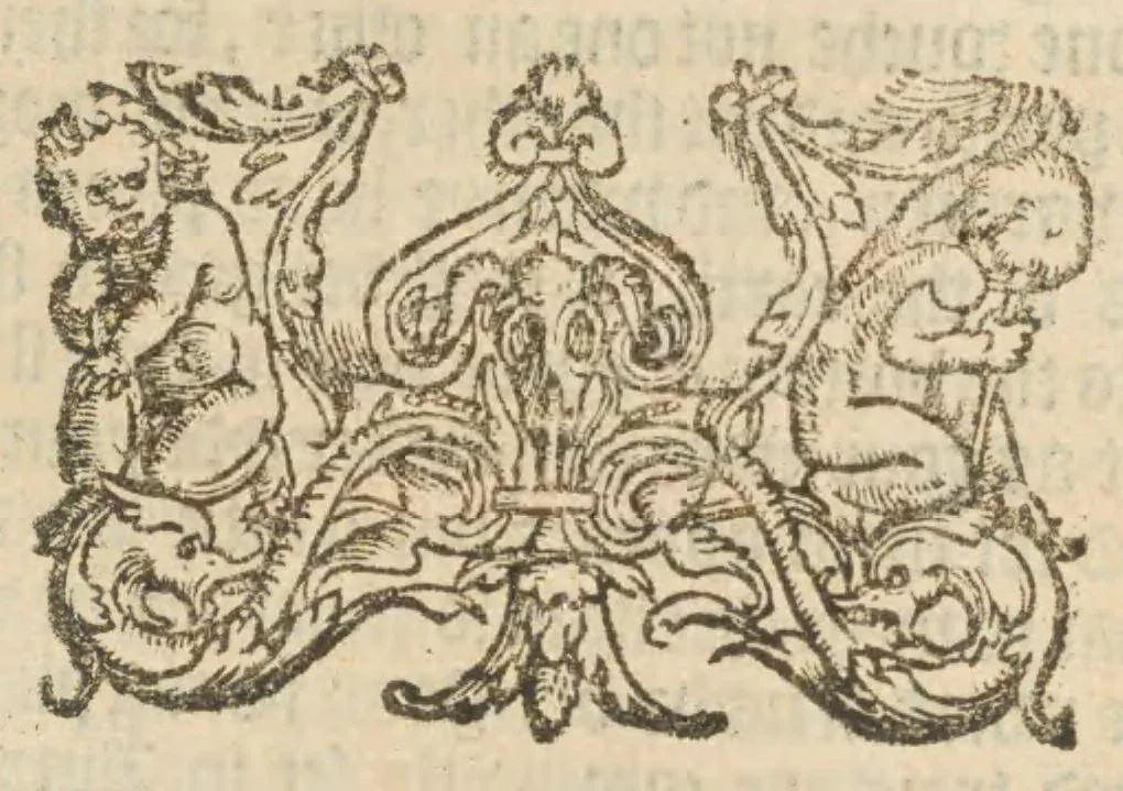 An illustration from A booke of the arte and maner how to plant and graffe all sortes of trees, how to set stones, and sowe pepins, to make wylde trees to graffe on, as also remedies and medicines : with divers other newe practises by one of the Abbey of Saint Vincent in Fraunce practised with his owne handes, deuided into seauen chapters, as hereafter more playnely shall appeare, wyth an addition in the ende of this boke, of certayne Dutch practises, 1575, leaf 22
