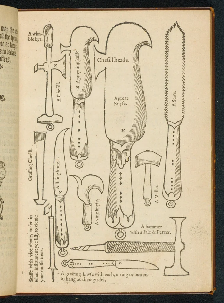 An illustration from A booke of the arte and maner how to plant and graffe all sortes of trees, how to set stones, and sowe pepins, to make wylde trees to graffe on, as also remedies and medicines : with divers other newe practises by one of the Abbey of Saint Vincent in Fraunce practised with his owne handes, deuided into seauen chapters, as hereafter more playnely shall appeare, wyth an addition in the ende of this boke, of certayne Dutch practises, 1575, leaf 23